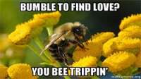 Bumbling Around