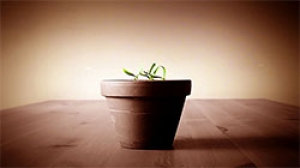 If You&#039;re Not Growing, You&#039;re Dying