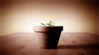 If You&#039;re Not Growing, You&#039;re Dying
